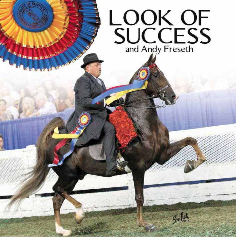 WCC Look of Success - SOLD